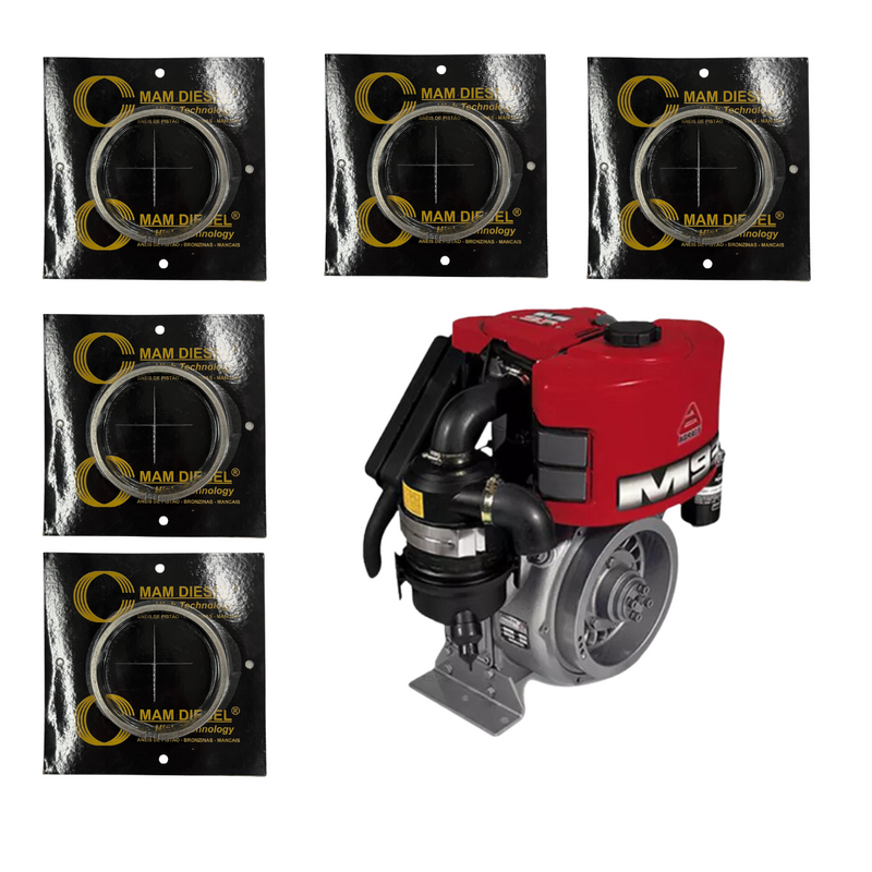 Kit 5 Anéis de Segmento 0.50 Motor Agrale M90