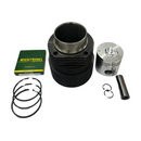 Kit Motor Agrale M93 (Pistão, Camisa, Anéis)