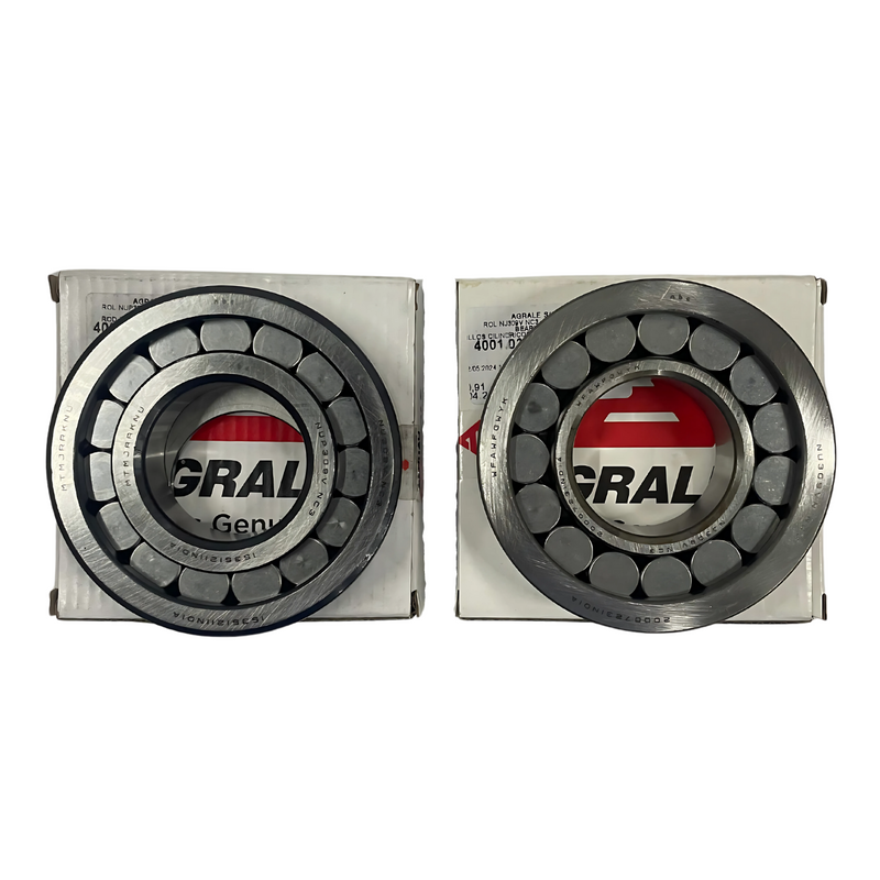 Kit Rolamentos Motor Agrale M80 85 90 e 93 NUP309 e NJ309